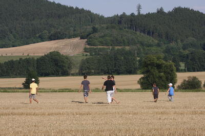 IMG 5971